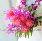 �n���C�A���u�[�P